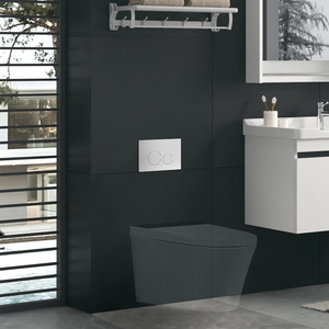 TUSSON Concealed Water Tank Panel Stylish Functional for Compact Algiers Homes