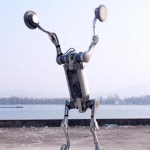 La tecnologia dei Robot di programmazione per Robot educativi supporta lo sviluppo secondario del cane Robot elettronico educativo - Product Image 6