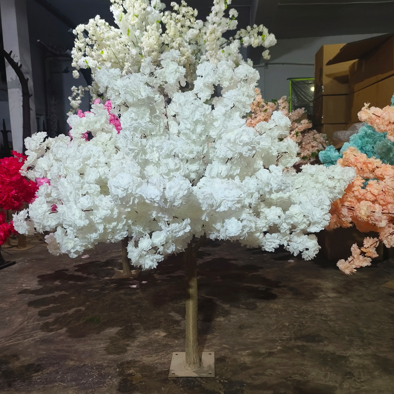 Blanc