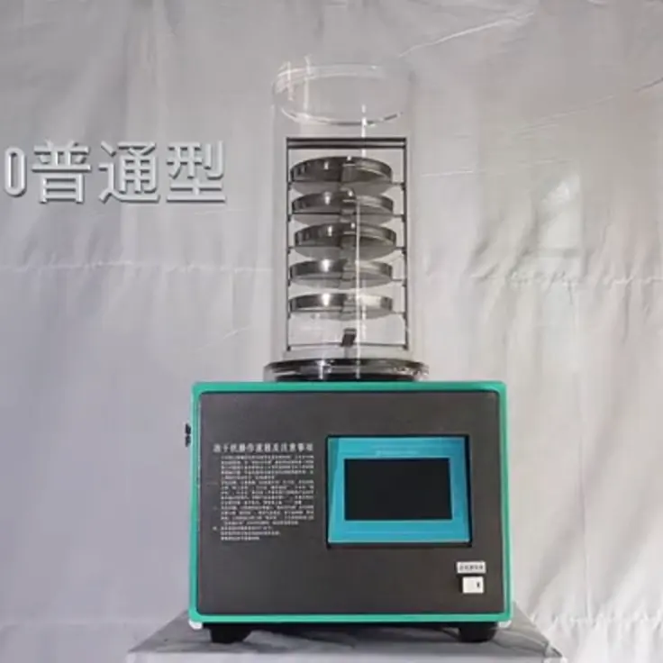 食品凍結乾燥機低温デュアルコンプレッサー中国