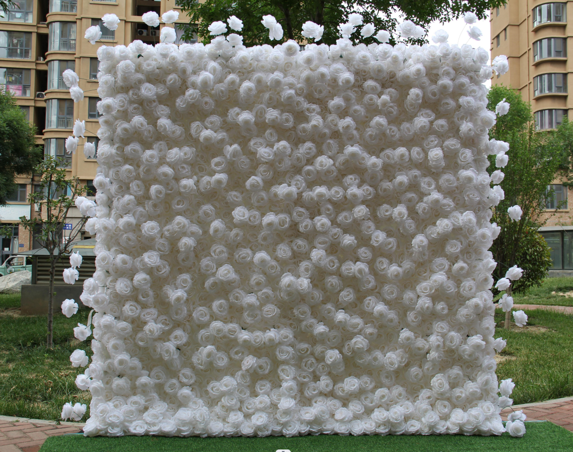 rose flower wall
