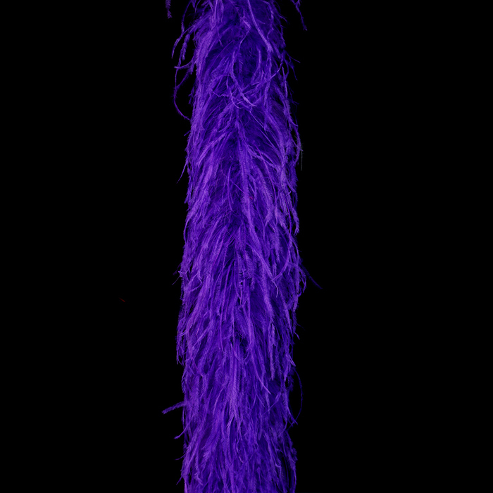 Pourpre