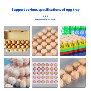 <strong>New</strong> Condition Automatic Egg Printing Machine Ricoh Print Head for Date Pattern Serial <strong>Number</strong> <strong>Coding</strong> Use on Cards Paper Clothes - Product Image 4