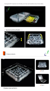 Envase Pet Para Arandanos 6Oz Số Lượng Lớn Blueberry Container Dùng Một Lần Nhựa Trái Cây Hộp Vỏ Sò Bao Bì Cho Quả Việt Quất - Product Image 4