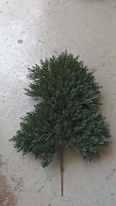 J-0610 Nhà Máy Thực Tế Nhân Tạo Cây Thông Chi Nhánh Bonsai Thông Cây Bách Xù Thông Vườn Cây Với Kim - Product Image 2