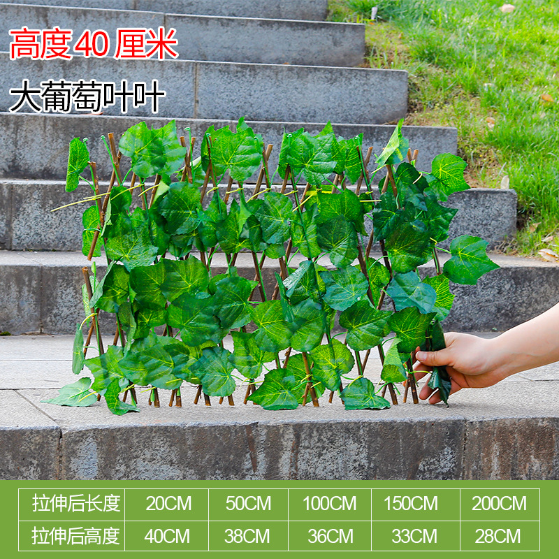 องุ่นขนาดใหญ่ 40 ซม.