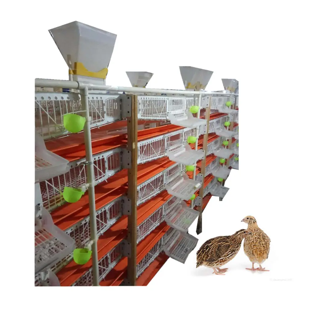 6 layer plastic quail cage with egg collection /quail layer cages HJ-QC400B