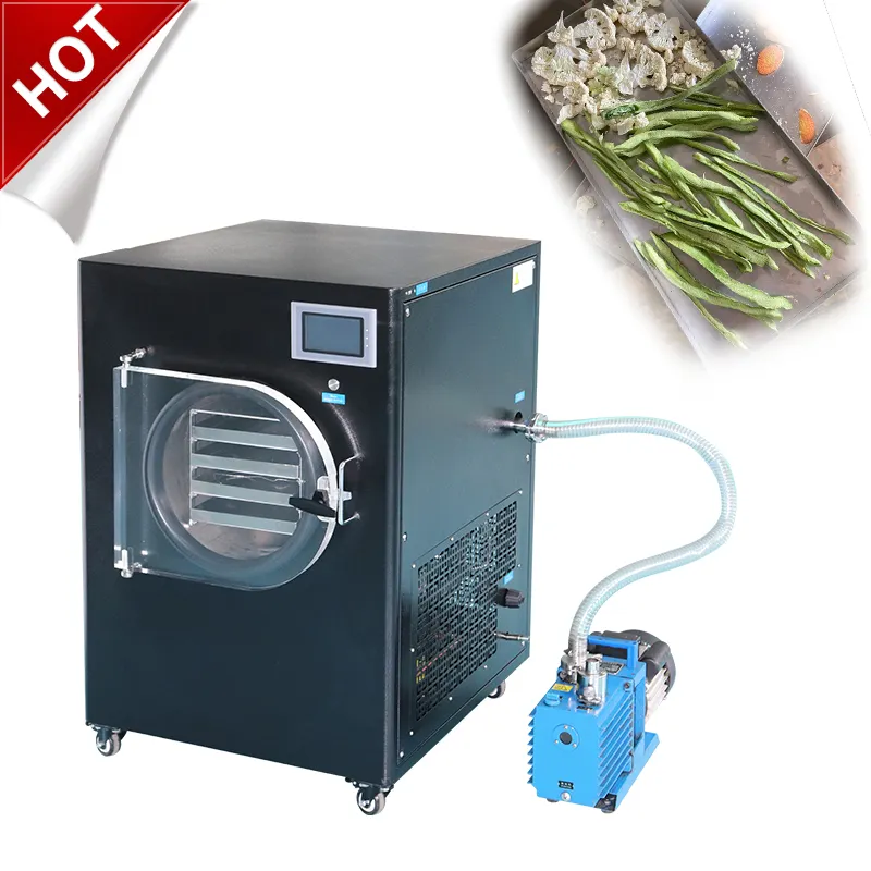 Melhor qualidade china fabricante 4 5 6 kg freeze secador de alimentos máquina lyophilizer para uso doméstico com bomba de vácuo preço