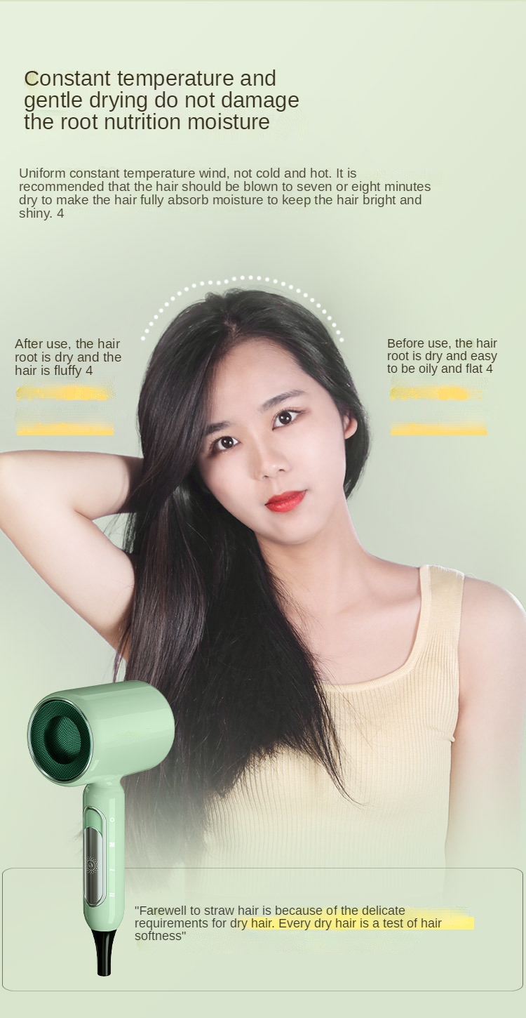 Wholesale Ac Dc Motor Salon Fashion Design Equipment Lcd Professional Hairdryer New Blow Custom Hair Dryer