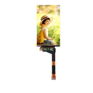 5.5&quot; QHD IPS TFT <strong>LCD</strong> 1440x2560 MIPI - Industrial Grade <strong>Display</strong> Module <strong>for</strong> Medical Imaging &amp; VR Headsets - Product Image 1
