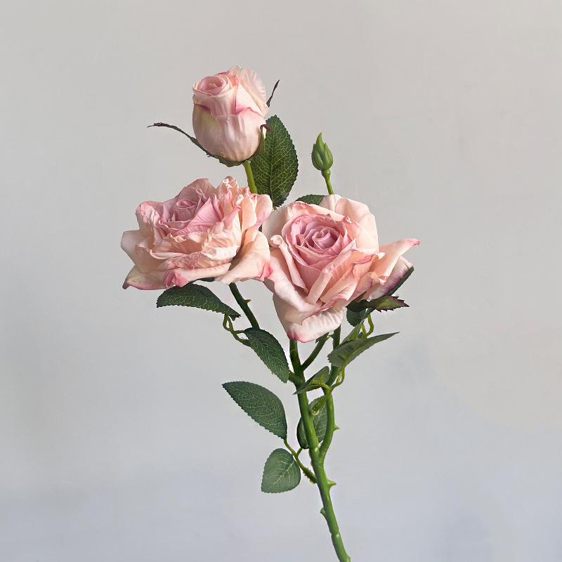 Rose/vintage 3 roses