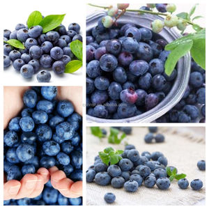Automatisierung Citrus Fruit Blueberry Grading Sortiermaschine Fruit Grading Size Blueberry Orange Fruit <span class=keywords><strong>Sorting</strong></span> <span class=keywords><strong>Sorting</strong></span> Line