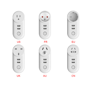Matter Protocol Cross-Platform Dual Usb Sockets Homekit Timed Home Assistant Wifiワイヤレススマートソケット - Product Image 6