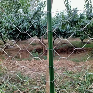 6 Foot Tall Chicken Coop Wire <strong>Netting</strong> 1/2&quot; 3/4'' 1&quot; <strong>Hexagonal</strong> Galvanized and Pvc Coated Chicken Wire Mesh for Coop - Product Image 5