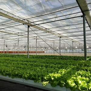 Invernadero de vidrio con sistema de riego, Sistema Automático resistente al viento y duradero, tipo venlo para verduras, multispan - Product Image 5