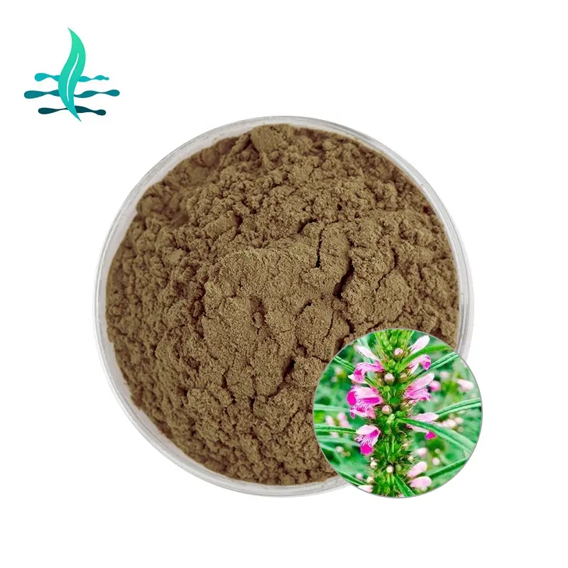 Tinh Khiết Tự Nhiên Hữu Cơ Motherwort Thảo Mộc Chiết Xuất 10:1