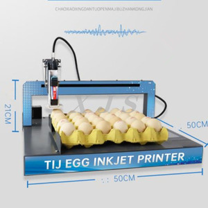Automatischer Ei-Tinten strahl drucker Logo Verfalls datum Chargen nummer Barcode Hühner Hühner Eier Tablett Codierung Markierung maschine Nicht Laser