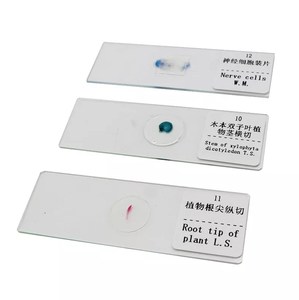 100% Nhà Máy Y Tế Khoa Học Giáo Dục Chuyên Nghiệp Nguồn Cung Cấp 30 Các Loại Thiết Lập Thực Vật Phôi Thai Và Trái Cây Kính Hiển Vi Slide - Product Image 2