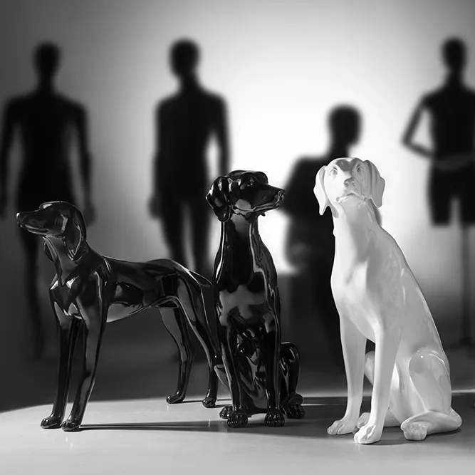 Мода Собака Дисплей животное собака одежда выставочная оптоволоконная собак G4-BK