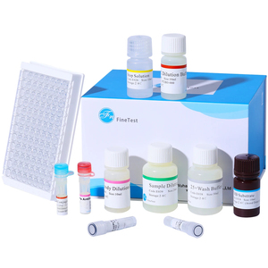 Özel fare HbA1c test kiti bilimsel araştırma glikosile hemoglobin A1c ELISA seti FineTest - Product Image 1