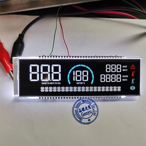 OEM e ODM LCD Factory TN VA schermo LCD monocromatico nero BTN modulo Display LCD personalizzato Display a 8 cifre a 7 segmenti - Product Image 3