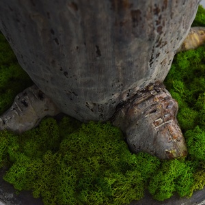 人工植物の木baosaiかわいい鉢植えAdansonia digitata baobabパルプエキス家の屋内装飾のための猿のパンの木 - Product Image 3
