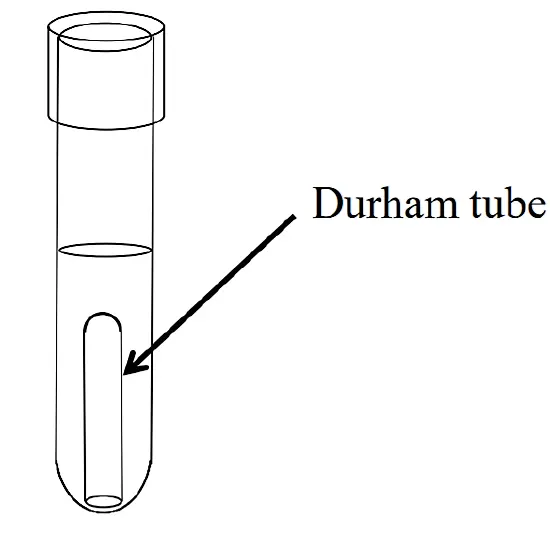 Tubo de prueba de fermentación de vidrio, catéter pequeño, 6x30mm, uso en laboratorio biológico, Durham