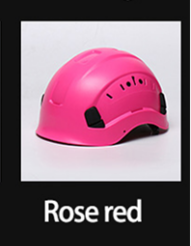 Rosa rossa
