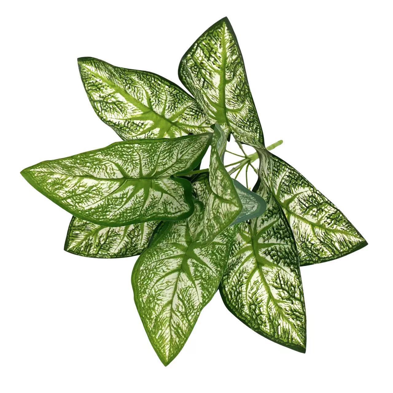 9 Horseshoe Lotus White Green