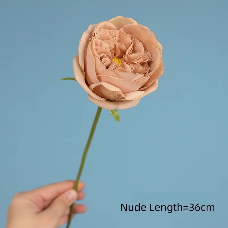 Nu