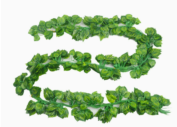 Paquet de 36 feuilles de pastèque imprimées en couleur - 12 bandes par paquet