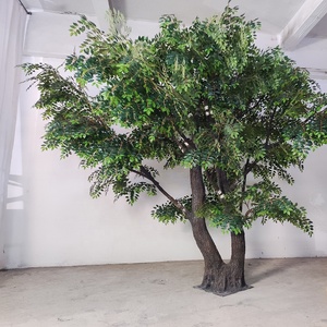 中国の人工ニレの木古い盆栽植物緑風景小道具松の木ガジュマルの木 - Product Image 4