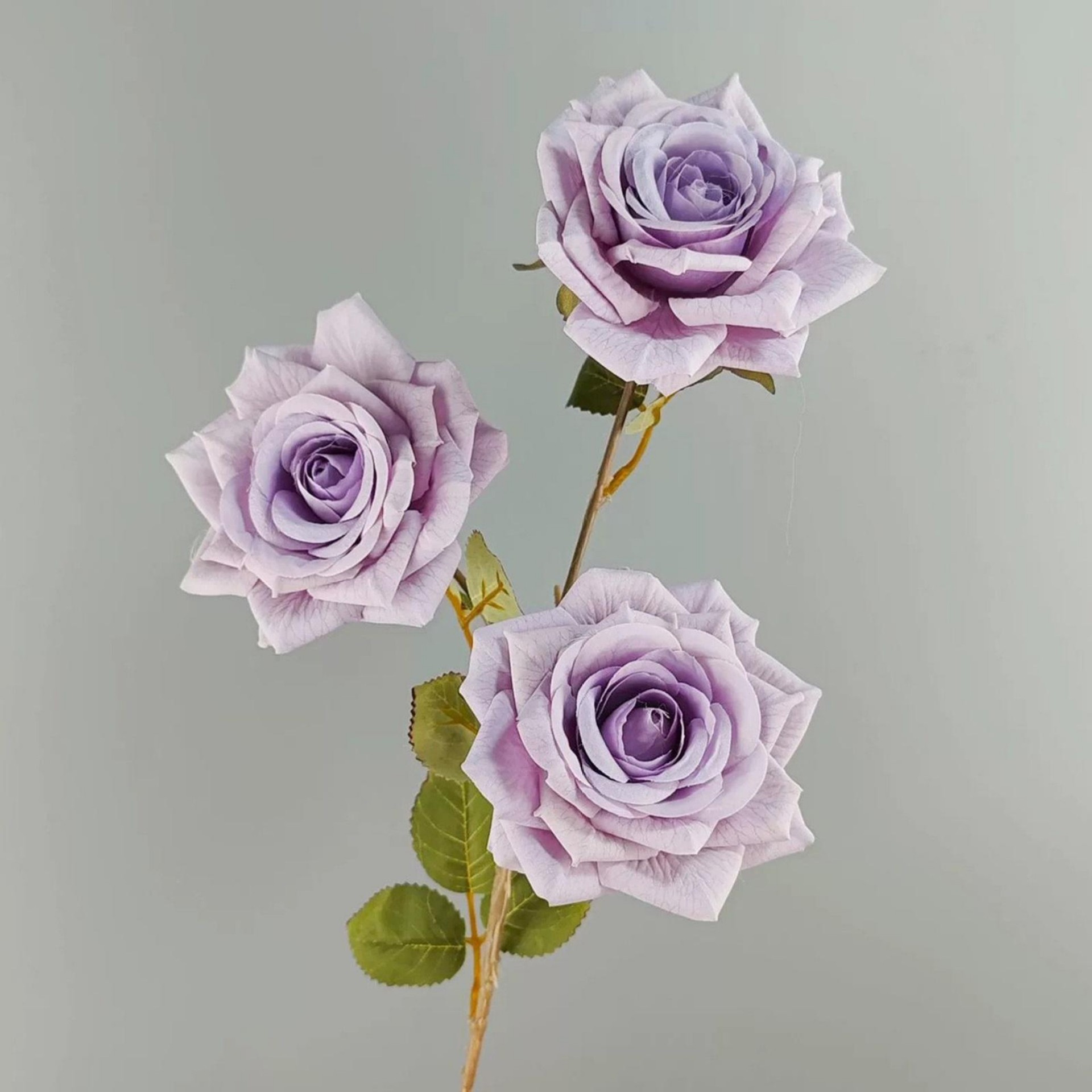 Lavande 75cm