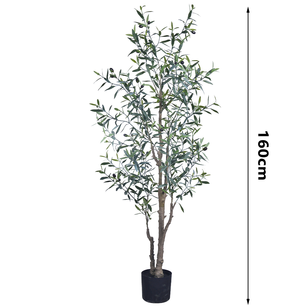 160 cm-M