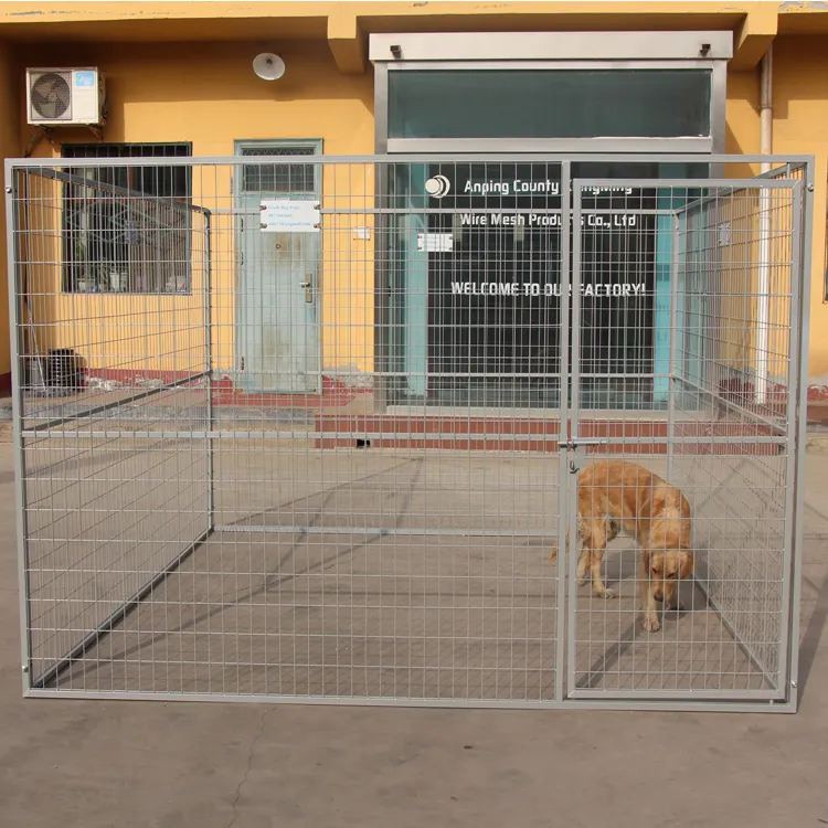Les chenils extérieurs de haute qualité pour chiens fonctionnent avec un abri en revêtement gris (XMR)