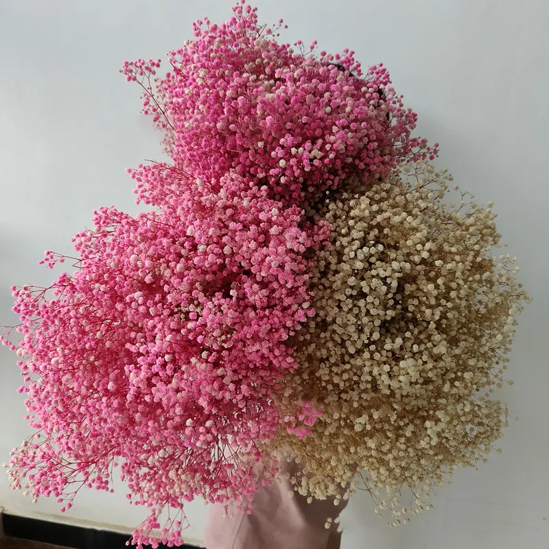 Toptan bebek nefes ev dekoratif renkli kurutulmuş yapay çiçekler Boho kurutulmuş buket çiçekler korunmuş Gypsophila çiçek
