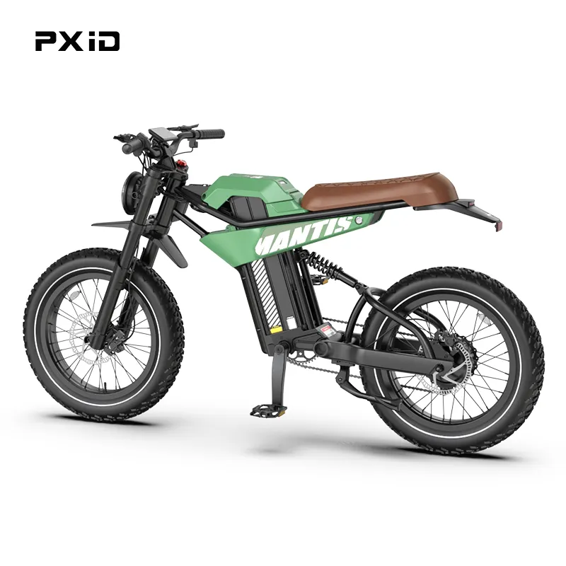 PXID 2023 us warehouse electric e bike 20*4.0 inch fat tyre bikes for women