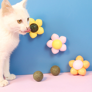 Bolas giratorias interactivas para aperitivos para gatos, juguete ecológico para mascotas pequeñas con hierba gatera saludable duradera y natural - Product Image 1