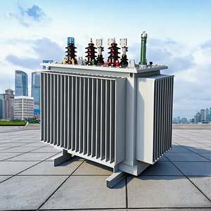 Nhà máy có nguồn gốc S13 80kva-1000kva-2500kva dầu đắm mình máy biến áp điện ba pha MV & HV phân phối máy biến áp - Product Image 3