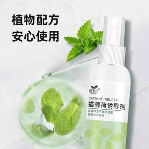 120ml Spray Bottle Premium All Natural Maximum Potent <strong>Catnip</strong> for Cats Great for Training Redirecting Bad Behaviors - Product Image 3