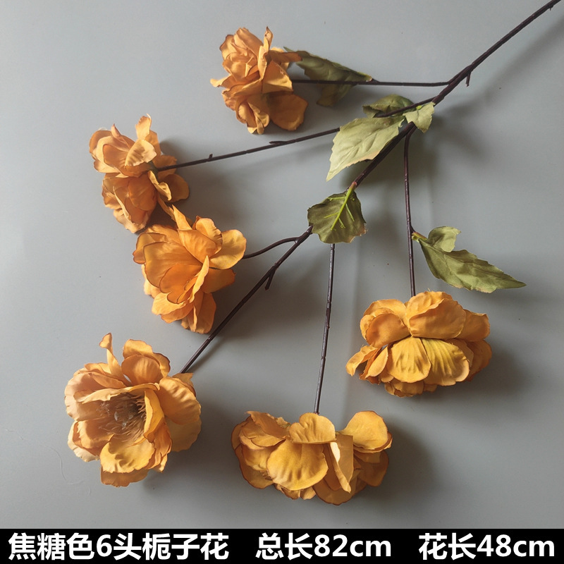 Caramel 6 gardénia