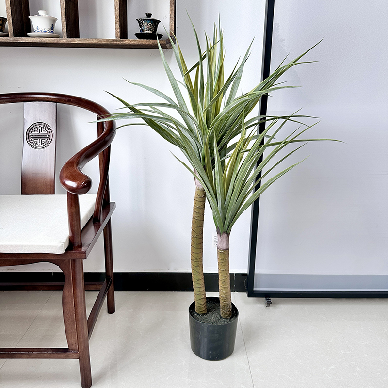 Dracena 110cm