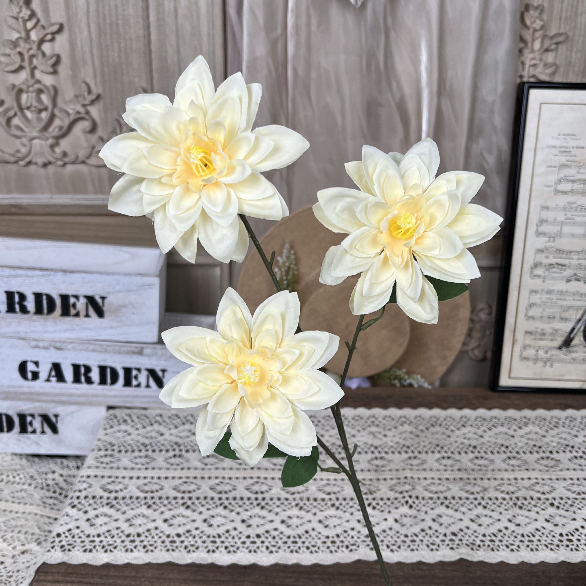 Y-Little Dahlia Pinnate-Champagne