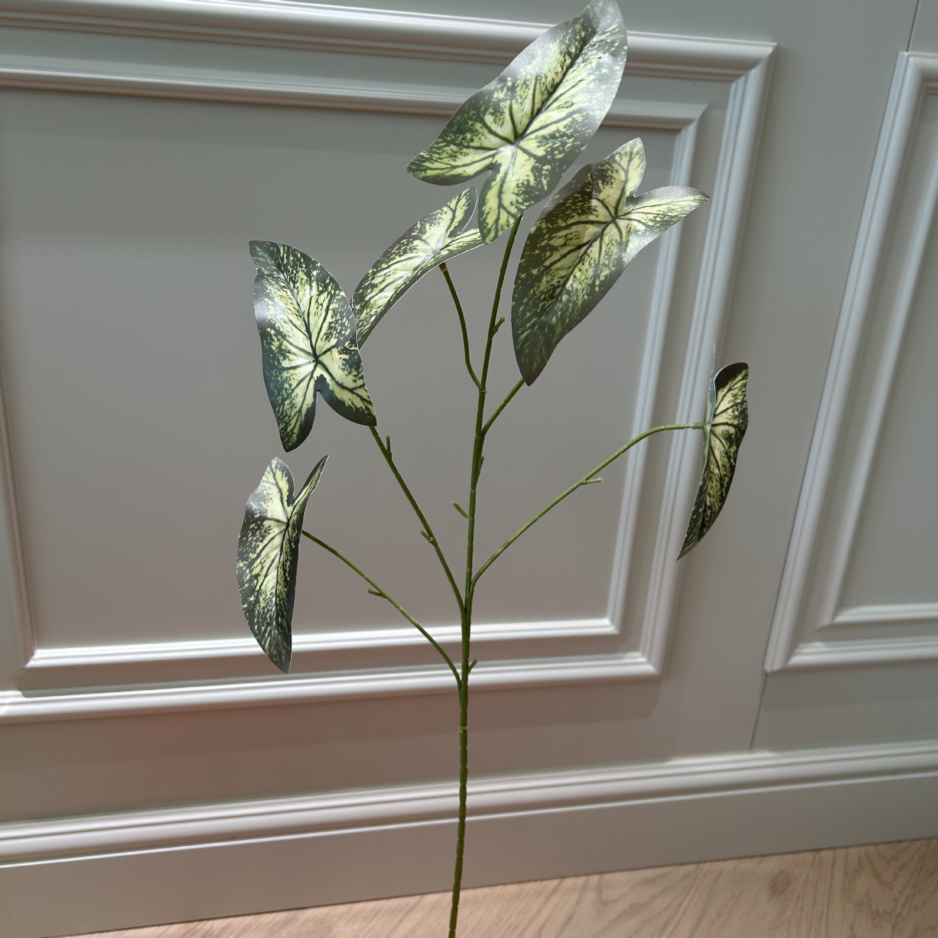 Bd sea jade leaves dark green
