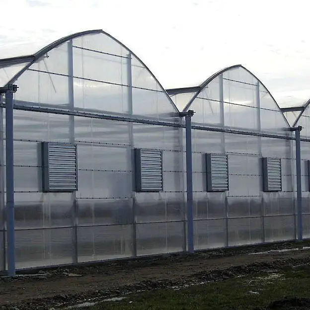 polycarbonate sheeting greenhouses cover structure galvanized steel framework