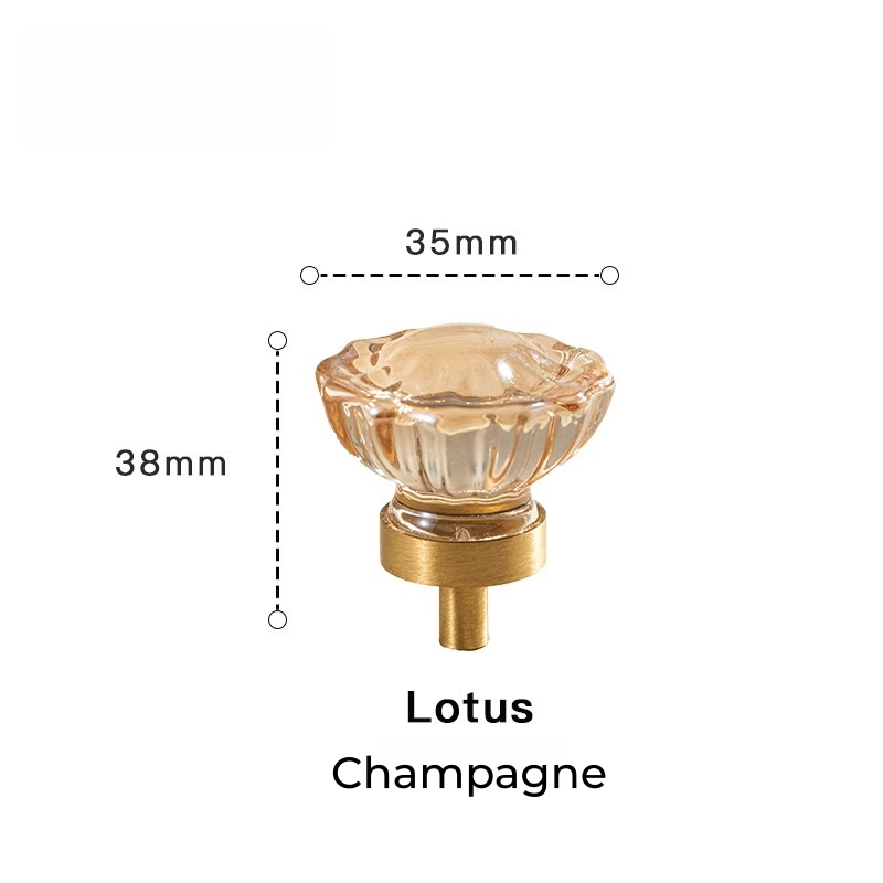 Lotus de Champagne