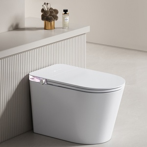 <strong>Brand</strong> New Smart <strong>Toilet</strong> with Lid First Closed and Then Flushed, Instant Heating All-in-one Fully Automatic Flip-top <strong>Toilet</strong> - Product Image 2