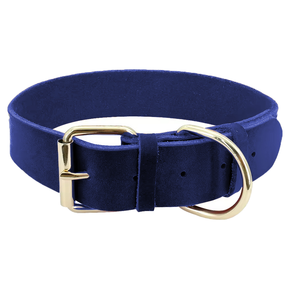 Bleu royal