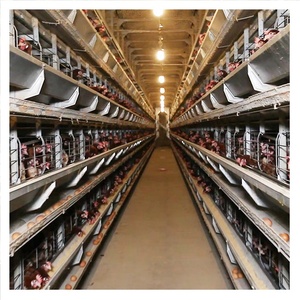 RETECH Tự Động Lớp Gia Cầm Farming Thiết Bị Pin Gà Trứng Lớp Lồng Hệ Thống - Product Image 1