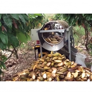 Máquina de procesamiento de cacao en polvo a pequeña escala, maquinaria para pelar granos de cacao, máquinas de procesamiento de cacao - Product Image 5